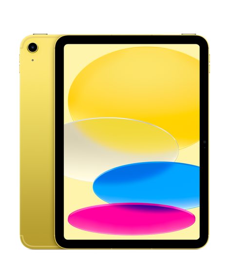 Apple iPad 5G 10.9-inch 2022 10th gen A2777 TD-LTE CN 256GB  (Apple iPad 13,19)