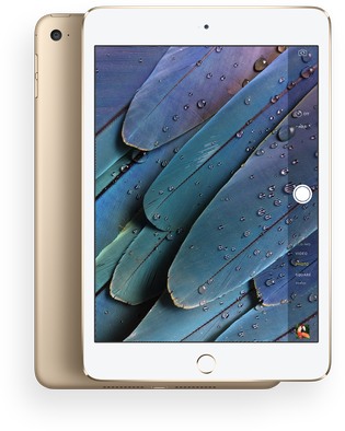 Apple iPad Mini 4 WiFi A1538 32GB  (Apple iPad 5,1) kép image