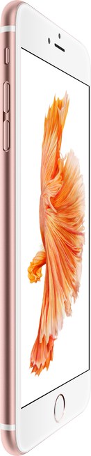 Apple iPhone 6s Plus A1690 TD-LTE CN 32GB  (Apple iPhone 8,1)