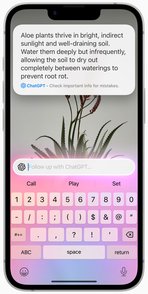 APPLE IPHONE 16E VISUAL INTELLIGENCE 250219