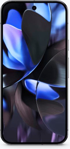 Google Pixel 9 Pro XL 5G Global TD-LTE 128GB GZC4K  (Google Komodo)