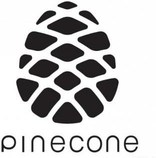 Xiaomi Pinecone V970 kép image
